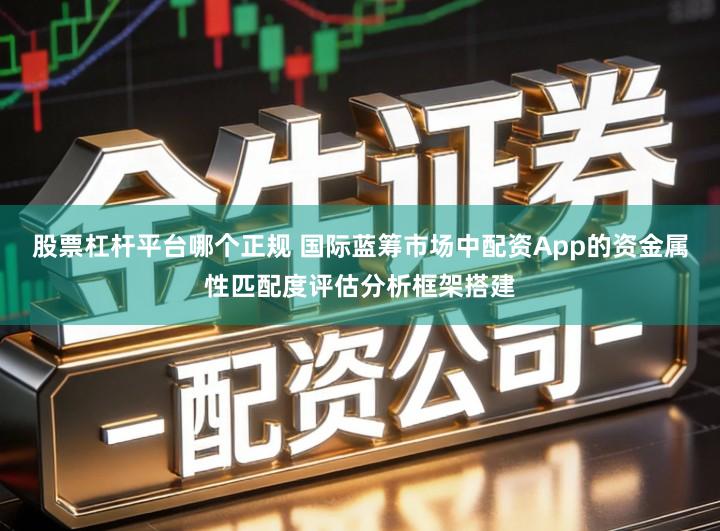 股票杠杆平台哪个正规 国际蓝筹市场中配资App的资金属性匹配度评估分析框架搭建