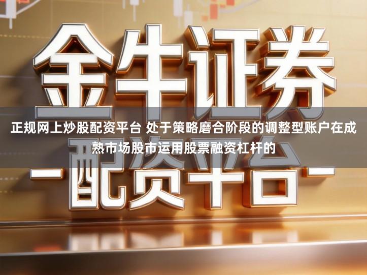 正规网上炒股配资平台 处于策略磨合阶段的调整型账户在成熟市场股市运用股票融资杠杆的