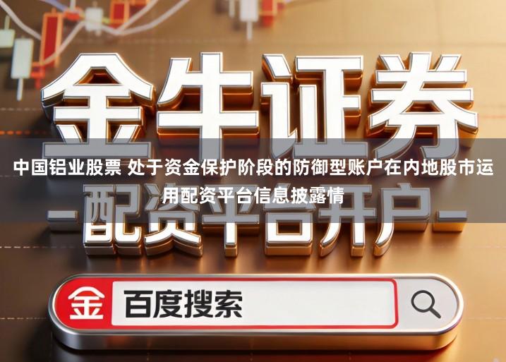中国铝业股票 处于资金保护阶段的防御型账户在内地股市运用配资平台信息披露情