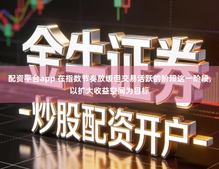 配资平台app 在指数节奏放缓但交易活跃的阶段这一阶段,以扩大收益空间为目标