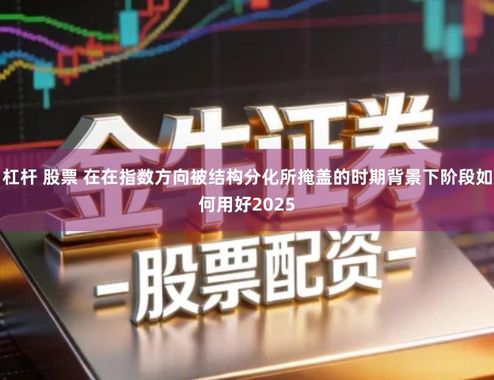杠杆 股票 在在指数方向被结构分化所掩盖的时期背景下阶段如何用好2025