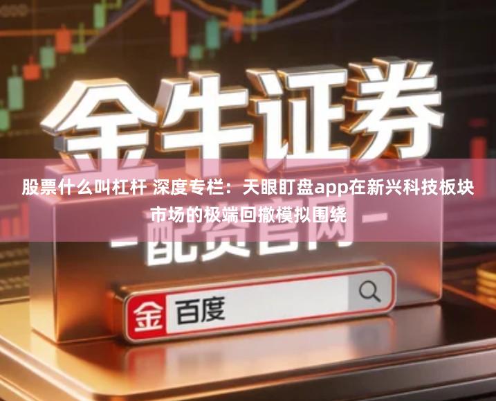 股票什么叫杠杆 深度专栏：天眼盯盘app在新兴科技板块市场的极端回撤模拟围绕